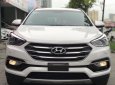 Hyundai Santa Fe 2.4L 2WD 2018 - Bán xe Hyundai Santa Fe 2.4L 2WD máy xăng, sx 2018, siêu lướt