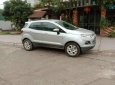 Ford EcoSport   2014 - Bán Ford EcoSport năm 2014, màu bạc, nhập khẩu  