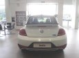 Volkswagen Beetle 2018 - Xe hơi thể thao Volkswagen - Beetle