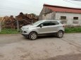 Ford EcoSport   2014 - Bán Ford EcoSport năm 2014, màu bạc, nhập khẩu  