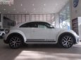 Volkswagen Beetle Dune 2018 - Cần bán xe Volkswagen Beetle Dune năm sản xuất 2018, màu trắng, xe nhập