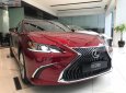 Lexus ES 250 2019 - Bán ô tô Lexus ES 250 năm 2019, màu đỏ, nhập khẩu