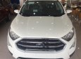 Ford EcoSport 1.0L AT Titanium 2019 - Bán xe Ford Ecosport 1.0L AT Titanium 2019