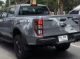 Ford Ranger Raptor  2019 - Bán Raptor 2019, giao trước 30.4, số lượng có hạn