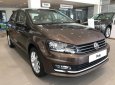 Volkswagen Polo 2017 - Bán Volkswagen Polo 2017, màu nâu, nhập khẩu chính hãng, giá tốt