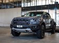 Ford Ranger Raptor   2019 - Bán ô tô Ford Ranger Raptor đời 2019, màu xám, nhập khẩu nguyên chiếc