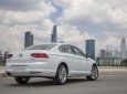 Volkswagen Passat Bluemotion 2019 - Đẳng cấp doanh nhân - Volkswagen Passat Bluemotion