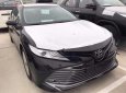 Toyota Camry 2.5Q 2019 - Bán ô tô Toyota Camry 2.5Q đời 2019, màu đen, nhập khẩu nguyên chiếc