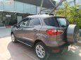 Ford EcoSport 2019 - Bán Ford EcoSport năm 2019, màu nâu