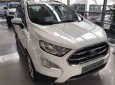 Ford EcoSport   2019 - Cần bán Ford EcoSport năm sản xuất 2019, màu trắng, 535 triệu