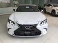 Lexus ES 250 2019 - Bán ô tô Lexus ES 250 đời 2019, màu trắng, nhập khẩu