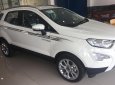 Ford EcoSport 1.0L AT Titanium 2019 - Bán xe Ford Ecosport 1.0L AT Titanium 2019