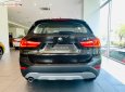 BMW X1 sDrive18i 2018 - Cần bán xe BMW X1 sDrive18i sản xuất năm 2018, màu nâu, xe nhập