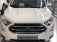 Ford EcoSport   2019 - Cần bán Ford EcoSport năm sản xuất 2019, màu trắng, 535 triệu
