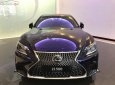 Lexus LS 500 2019 - Bán ô tô Lexus LS 500 đời 2019, màu xanh lam, nhập khẩu