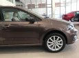 Volkswagen Polo 2017 - Bán Volkswagen Polo 2017, màu nâu, nhập khẩu chính hãng, giá tốt
