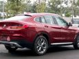 BMW X4   xDrive20i  2019 - Cần bán BMW X4 xDrive20i 2019, màu đỏ, nhập khẩu  