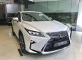 Lexus RX 300 2019 - Bán xe Lexus RX 300 sản xuất năm 2019, màu trắng, nhập khẩu