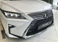 Lexus RX 300 2019 - Bán xe Lexus RX 300 sản xuất năm 2019, màu trắng, nhập khẩu