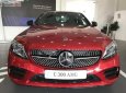 Mercedes-Benz C class 300 2019 - Cần bán xe Mercedes C300 năm 2019, màu đỏ