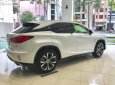 Lexus RX 300 2019 - Bán xe Lexus RX 300 sản xuất năm 2019, màu trắng, nhập khẩu