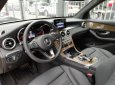 Mercedes-Benz GLC-Class  250 4 matic 2018 - Xe Mercedes GLC 250 2018 chính hãng bảo hành đầy đủ