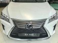 Lexus RX 300 2019 - Bán xe Lexus RX 300 sản xuất năm 2019, màu trắng, nhập khẩu