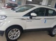 Ford EcoSport 2019 - Cần bán Ford EcoSport sản xuất 2019, màu bạc