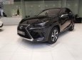 Lexus NX   300 2019 - Bán xe Lexus NX 300 sản xuất 2019, màu đen, nhập khẩu