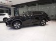 Lexus NX   300 2019 - Bán xe Lexus NX 300 sản xuất 2019, màu đen, nhập khẩu