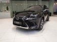 Lexus NX   300 2019 - Bán xe Lexus NX 300 sản xuất 2019, màu đen, nhập khẩu