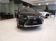 Lexus NX   300 2019 - Bán xe Lexus NX 300 sản xuất 2019, màu đen, nhập khẩu