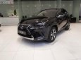 Lexus NX   300 2019 - Bán xe Lexus NX 300 sản xuất 2019, màu đen, nhập khẩu