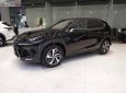 Lexus NX   300 2019 - Bán xe Lexus NX 300 sản xuất 2019, màu đen, nhập khẩu