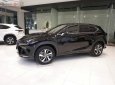 Lexus NX   300 2019 - Bán xe Lexus NX 300 sản xuất 2019, màu đen, nhập khẩu