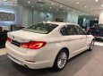 BMW 5 Series 530i Luxury Line 2018 - Bán xe BMW 5 Series 530i Luxury Line đời 2018, màu trắng, xe nhập