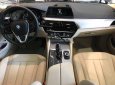 BMW 5 Series 530i Luxury Line 2018 - Bán xe BMW 5 Series 530i Luxury Line đời 2018, màu trắng, xe nhập