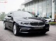 BMW 5 Series 530i 2019 - Bán BMW 530i phiên bản Luxury thế hệ 5 series mới hoàn toàn (G30)