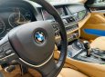BMW 5 Series 528i 2011 - Em bán BMW 528i Sx 2011 model 2012, xe nguyên zin, cực mới