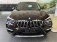 BMW X1 2019 - Cần bán xe BMW X1 đời 2019, màu nâu, xe nhập