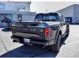 Ford F 150 Raptor 2019 - Bán Ford F 150 Raptor 2019, màu xám, xe nhập