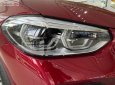 BMW X4 xDrive20i 2019 - Bán xe BMW X4 xDrive20i đời 2019, màu đỏ, nhập khẩu