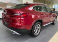 BMW X4 xDrive20i 2019 - Bán xe BMW X4 xDrive20i đời 2019, màu đỏ, nhập khẩu