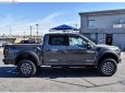 Ford F 150 Raptor 2019 - Bán Ford F 150 Raptor 2019, màu xám, xe nhập