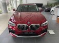 BMW X4 xDrive20i 2019 - Bán xe BMW X4 xDrive20i đời 2019, màu đỏ, nhập khẩu