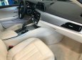 BMW 5 Series 520i G30 2018 - BMW 520i Sedan G30 All New 2019