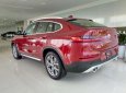 BMW X4 xDrive20i 2018 - Bán BMW X4 tại Đà Nẵng - mới chưa đăng ký