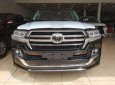 Toyota Land Cruiser MBS 2019 - Cần bán Toyota Land Cruiser MBS đời 2019, màu đen, nhập khẩu chính hãng