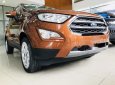 Ford EcoSport 2019 - Cần bán xe Ford EcoSport đời 2019, giá chỉ 521 triệu