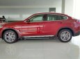 BMW X4 xDrive20i 2018 - Bán BMW X4 tại Đà Nẵng - mới chưa đăng ký